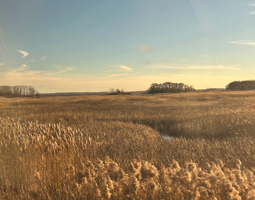 Wealth often stems from the theft of Native land and resources