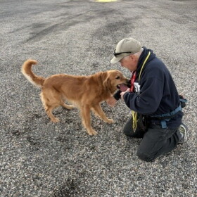 Man training a dog.