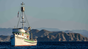The fully restored Western Flyer voyaging in the Gulf of California.