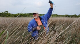 Pine Island Center Director Robbie Fearn