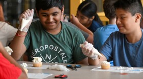 Harsh Patel and Fabian Lopez look at the icing on Patel's cupcake.