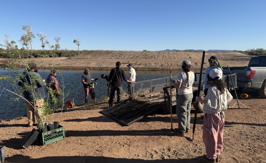 Volunteers gather at the Cocopah North Reservation to take part in hands-on work for the tribe’s ecological restoration project on March 12, 2026.