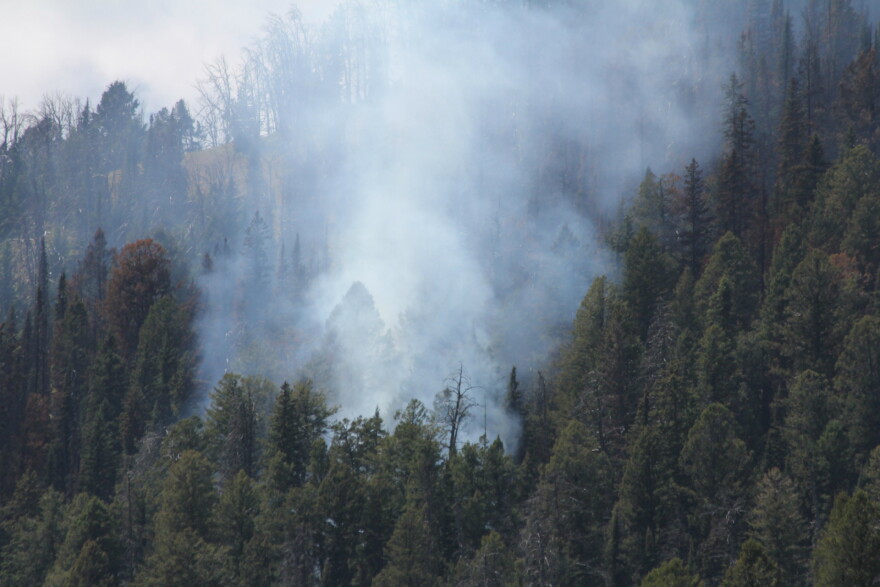 The Bacon Rind Fire burning on the border of the Lee Metcalf Wilderness and Yellowstone National Park on August 5, 2018.