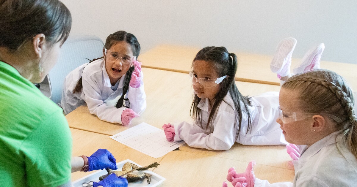 These Kansas elementary students dissect frogs — and it could help fight a doctor shortage