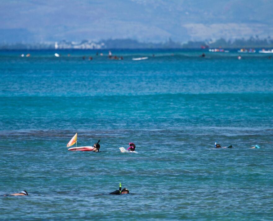 A snorkel survey field activity for participants of an OAT class in 2014.