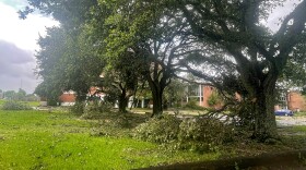 Damaged limbs hang from trees on the University of New Orleans campus in the Lake Terrace/Lake Oaks neighborhood after early morning storms from Tropical Storm Arthur swept through the city early Thursday, June 18, 2026.