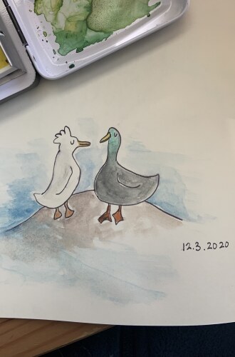 A watercolor of the ducks