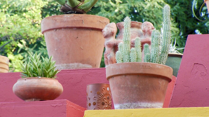 Frida's Garden Tucson Botanical Garden display hero