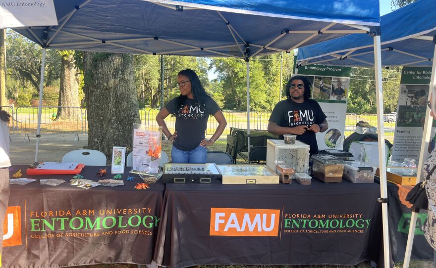 FAMU Entomology displays butterfly and beetle varieties