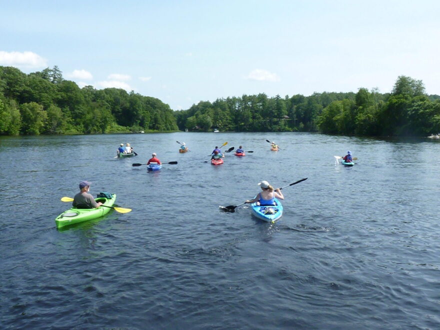 A flotilla of kayakers paddle down the Connecticut River, just south of Orford, N.H., as part of a 400-mile journey from "Source to Sea." (Todd Bookman/NHPR)