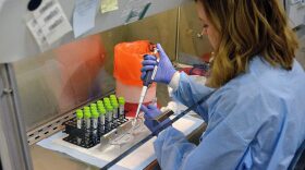 A photo of Ashley Ausman of the DPHHS State Public Health Laboratory prepares samples for RNA extraction to conduct COVID-19 testing. 