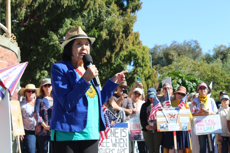 A woman wearing a blue blazer and straw hat speaks into a microphone in front of a crowd of people holding signs and flags.