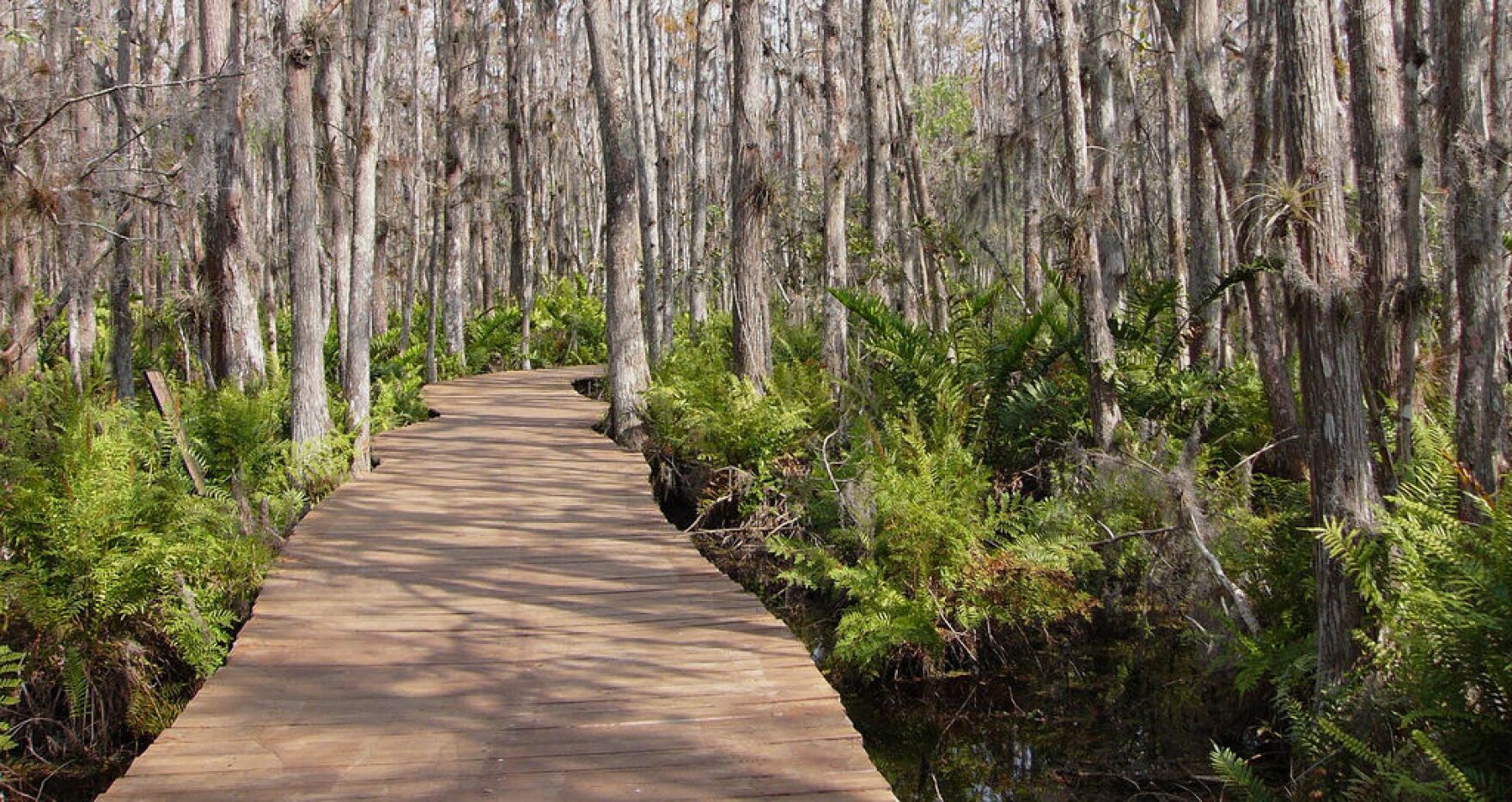 everglades national park bike trail