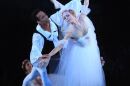 Sarasota Ballet Promo for 'P1-Intrinsic'