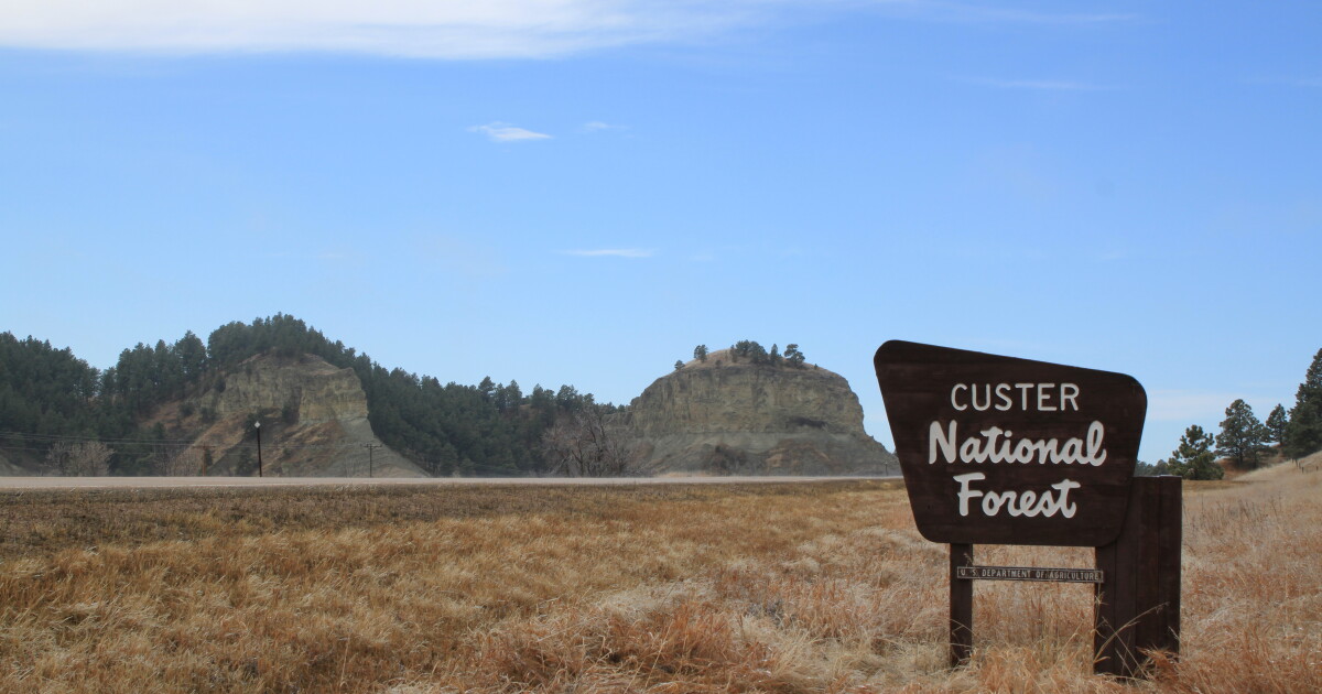 Landscapes : Custer National Forest | SDPB