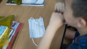 Parents are trying to decide whether to send their children back to school for in-person learning this fall. (Maja Hitij/Getty Images)