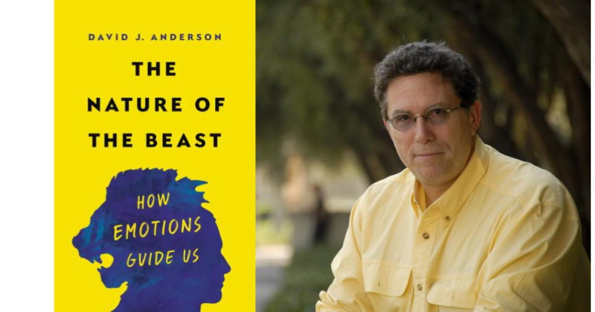 Emotions and their sources explored in 'The Nature of the Beast' | Jefferson Public Radio