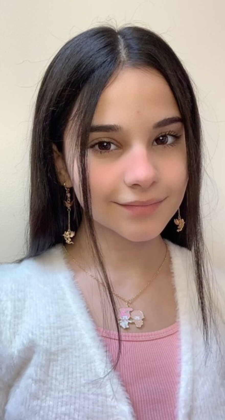  Sophia Pecoraro, a sixth grader at Stow, prefers learning in person but is thriving online. She considers herself to be highly organized, which she says has been helpful for online learning.