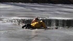 A Wayne Township firefighter rescues a dog from an icy pond. on Tuesday, Jan. 20.