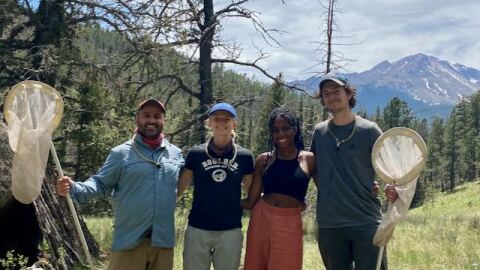 Julian Resasco, a man wearing a blue shirt and khaki pants, stands on a grassy field on Pike's Peak, holding a butterfly net. He stands with three graduate students. The Rocky Mountains are in the background.
