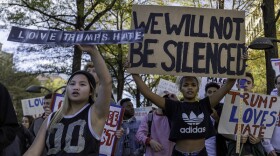We Will Not Be Silenced, Protesters marching along Pennsylvania Ave to the Capitol, DC.