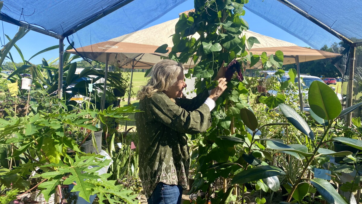 Marion County residents celebrate farmland heritage, vow to halt developments - Vimarsana News
