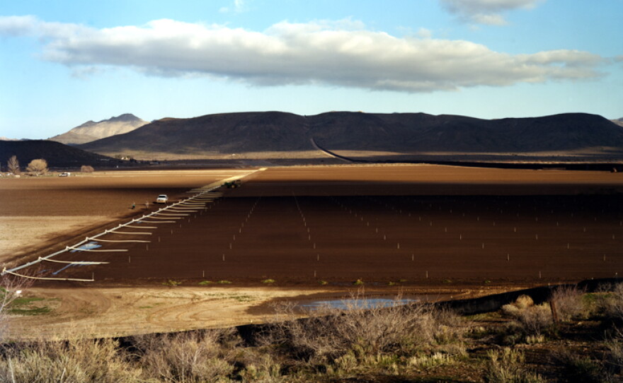 Farm with workers, Jacumba, Calif., 2010