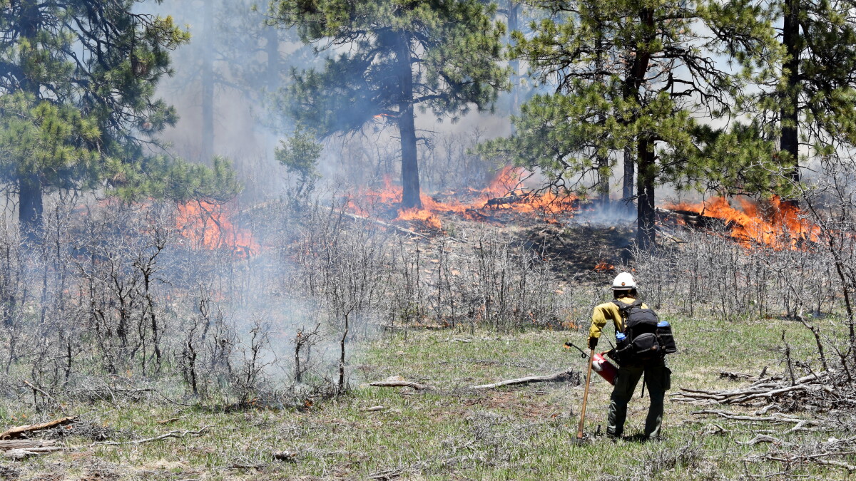 Supervisor of 2022 Oregon prescribed fire indicted on reckless burning charge - Vimarsana News