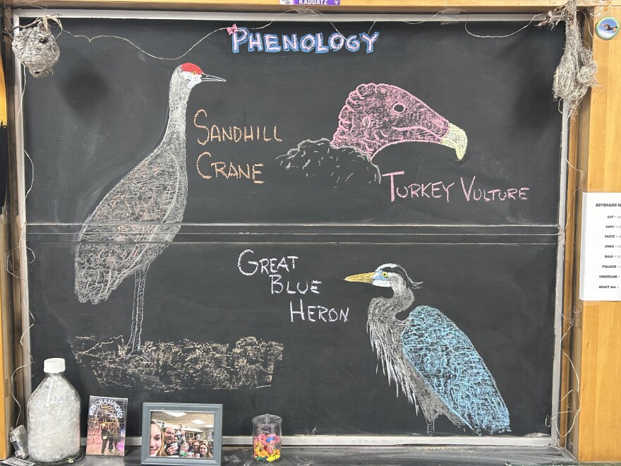 Chalk illustrations depict a Great Blue Heron, Sandhill Crane, and Turkey Vulture.