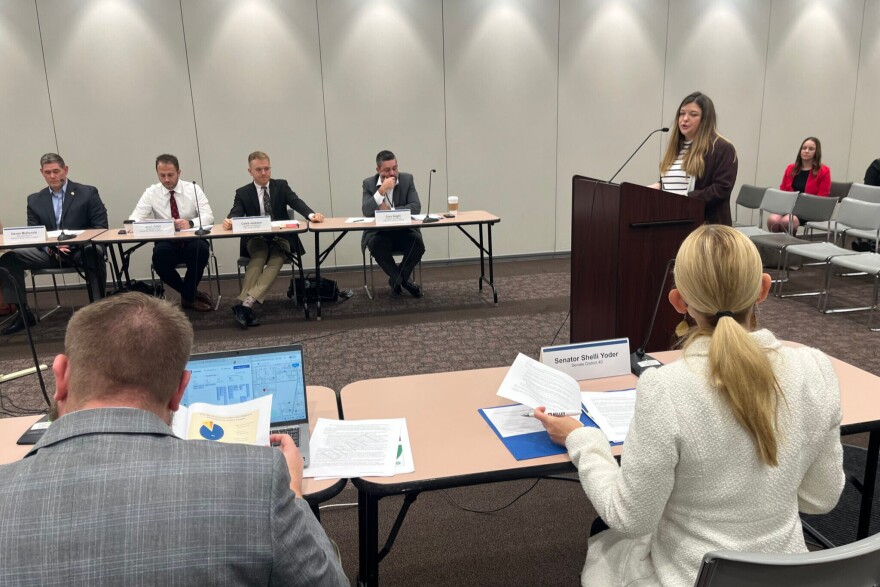 Deputy Director Shelby Thomas, with the Office of Drug Prevention, Treatment and Enforcement, presents before a state committee on Nov. 14, 2024.