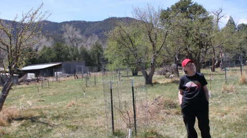 Cinde McPhail stands next to a Walbridge apple sapling in March 2026, with a Jonathan apple tree behind her.
