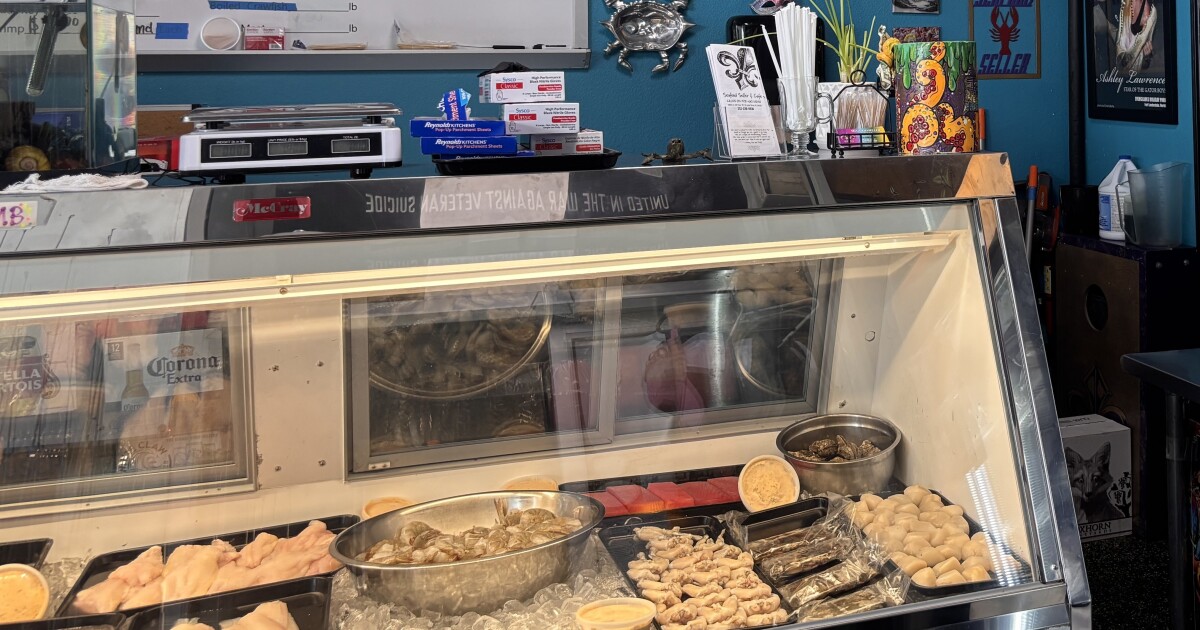 Citrus County scalloping season