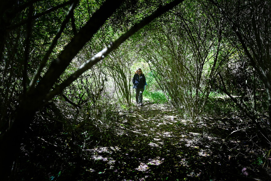 Robin Tracey, Environmental Education Specialist at Tuscarora State Park, walks the Spirit of Tuscarora trail.