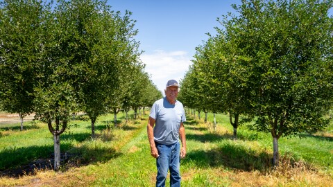 Kenyon Farley poses in front of one of his Utah County tart cherry orchards in Payson, July 24, 2026.