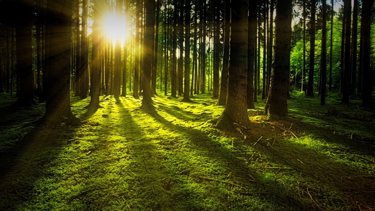 Listen tonight: As evening falls... - Vimarsana News