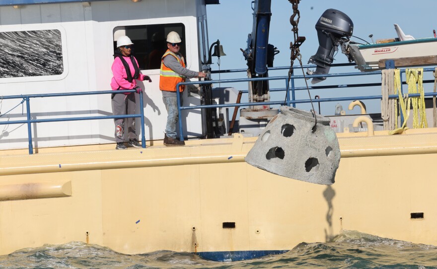 Eternal Reefs have been a popular option for ocean lovers. Cremated remains are mixed into concrete and then turned into a reef ball. That rest ball is placed in a permitted area offshore. Over time, marine life moves in and it becomes a coral reef. Eternal Reefs in Sarasota, offers an option for burial that’s been available for 27 years. And the reef balls can be personalized. The family of Martha “Mazzey” Tally Honored her wishes and placed her remains in a reef ball. What people decide about their end of life arrangements can say *everything* about how they lived. We met with three families who chose a *different* kind of goodbye. One by land, one by water and another just under the skin.