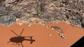 Helicopter 368 during a search reconnaissance mission along the Colorado River after the Aug. 29, 2026, flash flood.