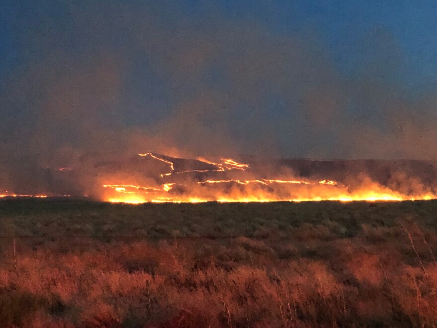 The Cold Creek Fire burned nearly 42,000 acres of sagebrush and grass land near Hanford in July -- including on Rattlesnake Mountain.