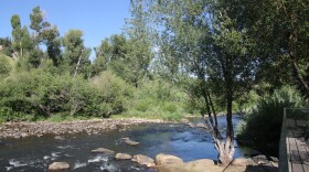 The Yampa River has low water levels.