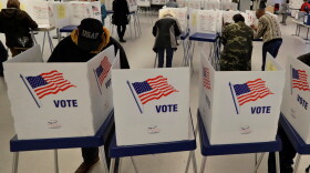 Generic file photo of people voting