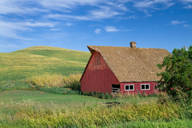 A red barn sits in a field of green grass.