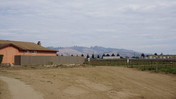 People who live in rural areas face heightened risks from agricultural pesticide drift. This photo, taken on Sept. 11, 2022, shows a housing development adjacent to a vineyard in Watsonville, a small, Latino-majority city that has for decades sought stronger community and worker protections from pesticide exposure.