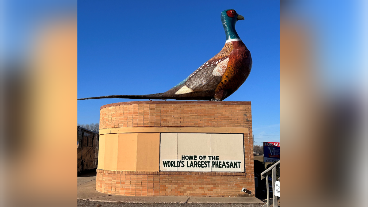 Huron's iconic pheasant's future uncertain amid attempted sale - Vimarsana News