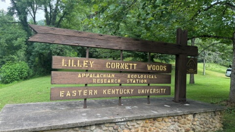 The entrance to Lilley Cornett Woods in Letcher County