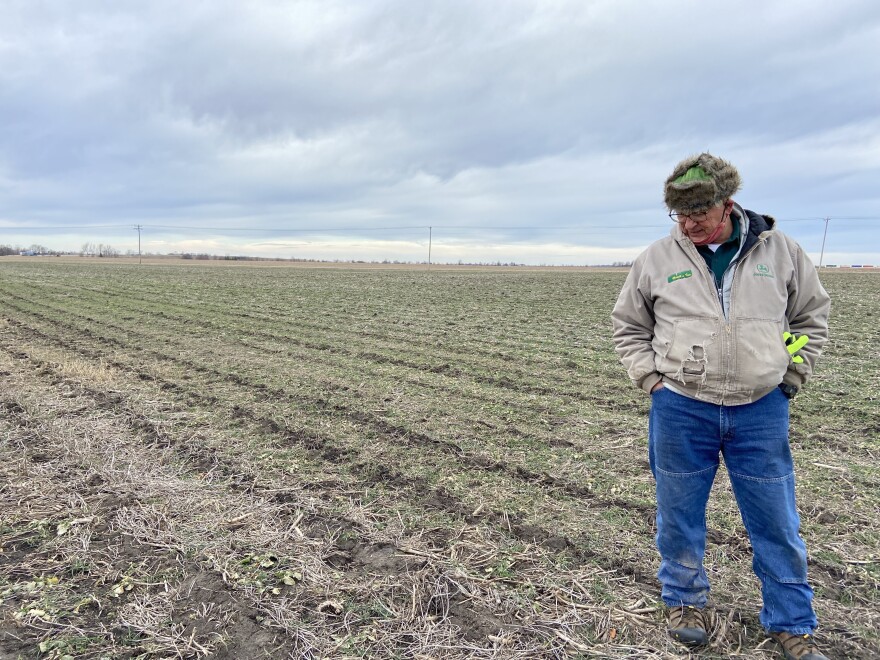 Illinois farmer Lin Warfel stands on his five-star rated field. The small green sprouts are his winter cereal rye cover crops coming up.