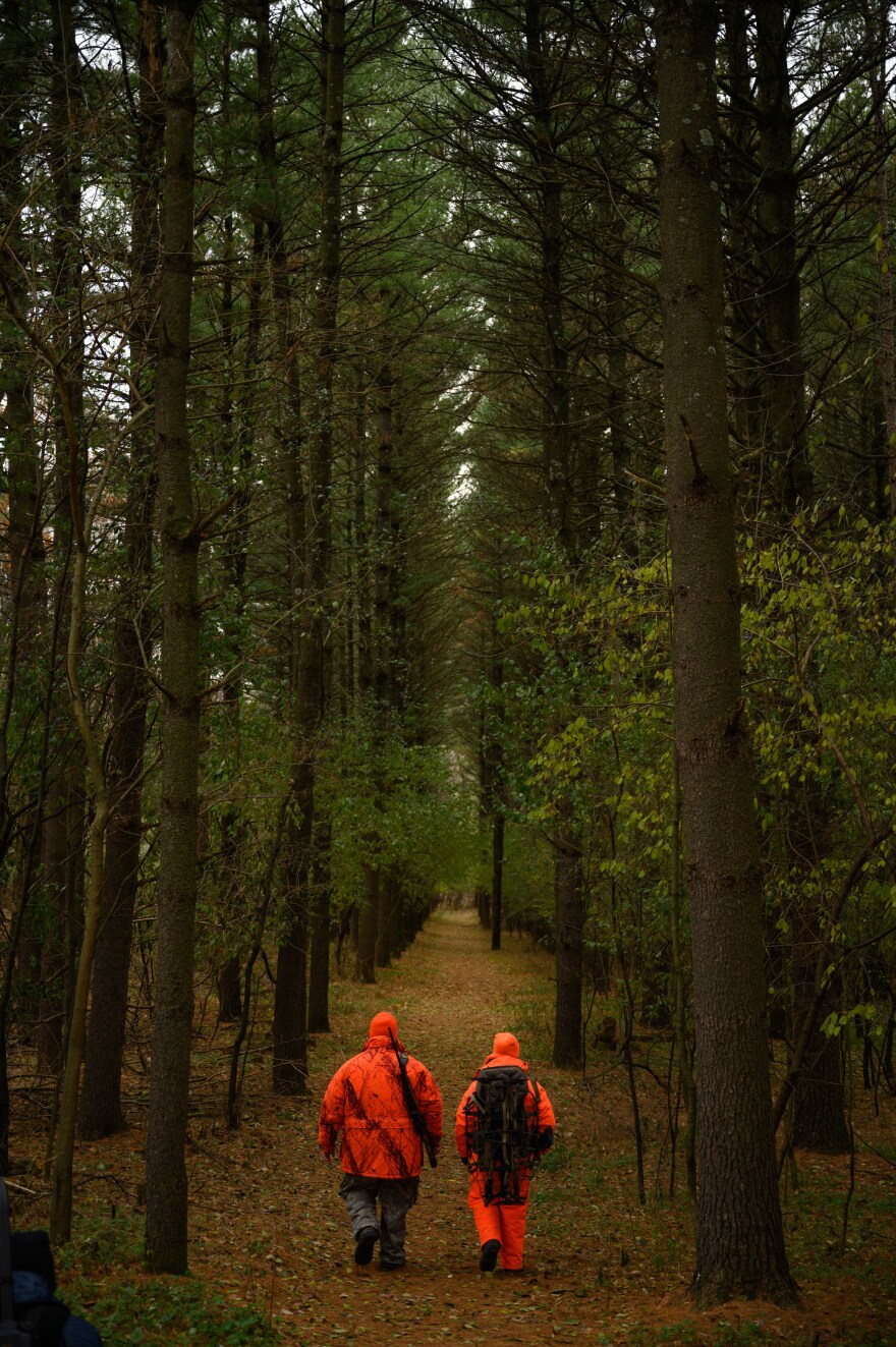 The Wisconsin Department of Natural Resources reports so far this season's gun deer count is slightly up from 2024.