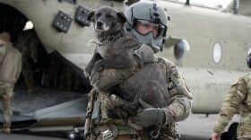 Alaska Army National Guard Sgt. Hunter Lorenz, a CH-47 Chinook helicopter crew chief, assigned to Detachment 1, B Company, 2-211th General Support Aviation Battalion, carries a dog during recovery operations at Bethel, Alaska, Oct. 16, 2025. Alaska Army National Guard helicopter aircrews, with the 207th Aviation Troop Command, pulled residents from hard-hit Alaskan communities and transported them to Bethel for follow-on travel to Joint Base Elmendorf-Richardson via AKANG C-17. Following the devastating Typhoon Halong that struck the West Coast of Alaska late last week, the Alaska Division of Homeland Security and Emergency Management continues to work with the Alaska Organized Militia and the U.S. Coast Guard during ongoing recovery operations. (Alaska National Guard photo by Staff Sgt. Joseph Moon)