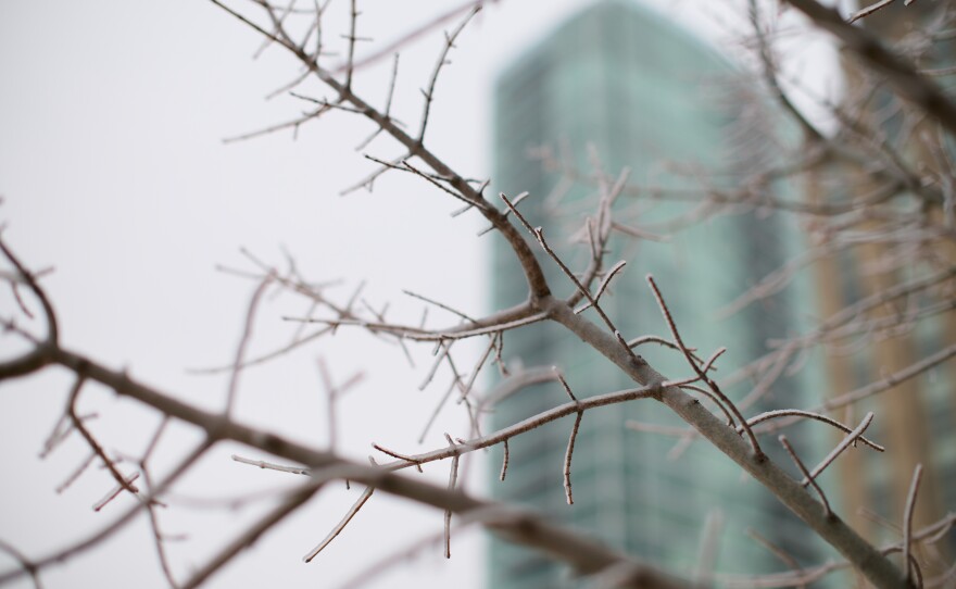 Snow and ice blanketed Durham and central North Carolina on Saturday, January 25, 2026.