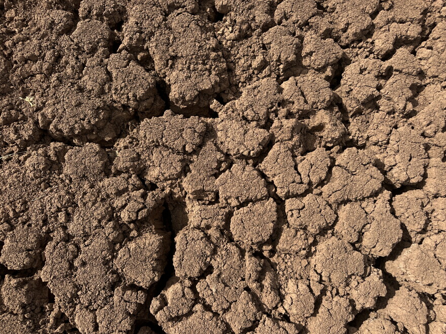 Drought has been drying out field and ponds in Oklahoma.