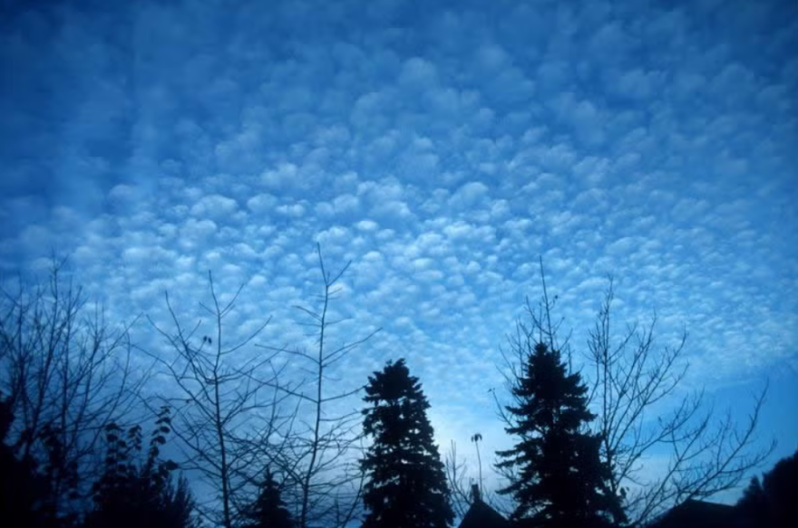 Photo of cirrocumulus clouds.